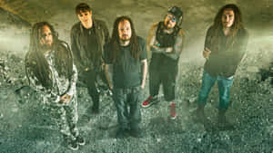 Korn Concert Cover Wallpaper