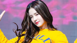 Kpop Starin Yellow Sweatshirt Wallpaper