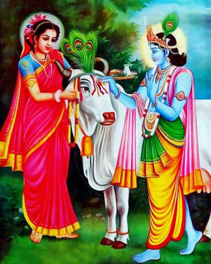 Krishna Phone Radha Painting Cow Wallpaper