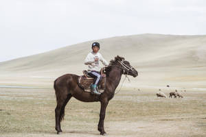 Kyrgyzstan Horse Land Wallpaper