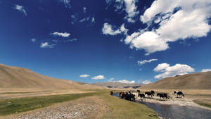Kyrgyzstan Steppe And River Wallpaper