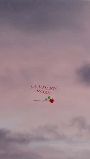 La Vien Red Rose Aesthetic Wallpaper