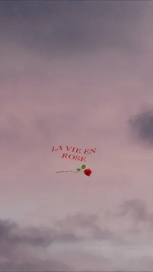 La Vien Red Rose Aesthetic Wallpaper