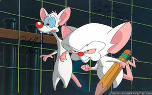 Laboratory Mice Pinky And The Brain Wallpaper