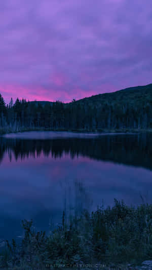 Lake And Trees Under Purple Evening Sky Wallpaper