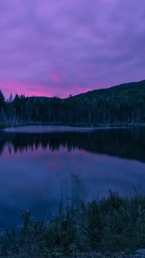 Lake And Trees Under Purple Evening Sky Wallpaper