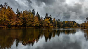 Lake During Early Fall Wallpaper