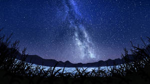 Lake Grass Anime Night Sky Wallpaper