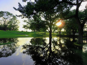 Lake In Golf Course Wallpaper