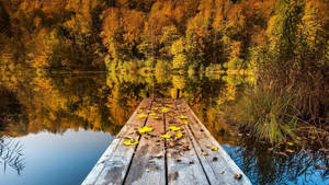 Lake View With Wooden Plank Wallpaper