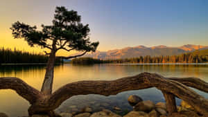 Lakeside Natural Background Wallpaper