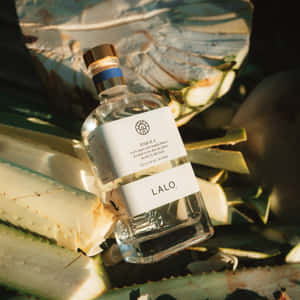 Lalo Tequila Bottle Agave Backdrop Wallpaper