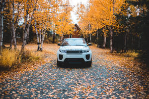 Land Rover In Autumn Wallpaper