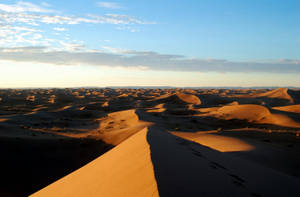Landscape Sahara Desert Screensavers Wallpaper