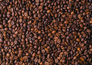 Large Area Of Coffee Beans Wallpaper