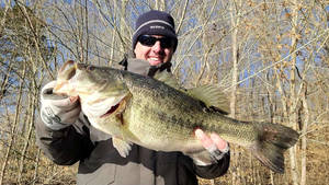 Large & Lively - A Largemouth Bass Against A Blue Lake Wallpaper