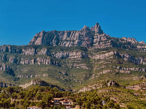 Large Montserrat Patches Wallpaper