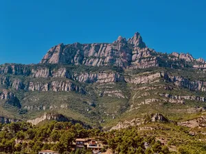Large Montserrat Patches Wallpaper