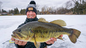 Largemouth Bass Caught On A Winter Wallpaper