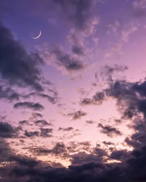 Lavender Sunset Indie Kid Wallpaper