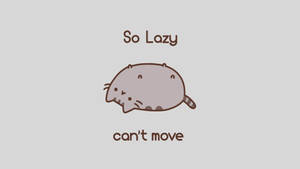 Lazy Pusheen Cat Meme Wallpaper