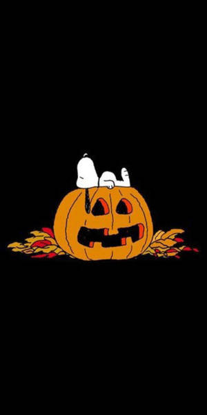 Lazy Snoopy Halloween Wallpaper