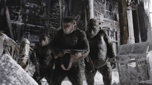 Leader Caesar With His Gang In Planet Of The Apes Wallpaper