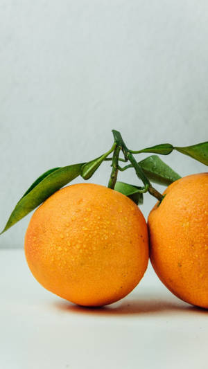 Leaning Orange Fruits Wallpaper