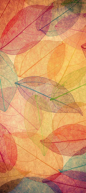 Leaves Line Art Samsung Wallpaper