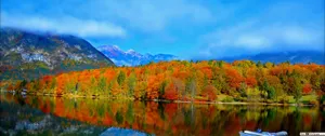 Leaves Of Autumn In 3440x1440 Resolution Wallpaper
