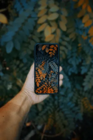 Leaves Phone Screen Wallpaper
