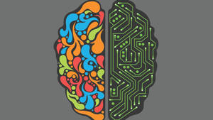 Left Vs Right Cerebral Illustration Wallpaper