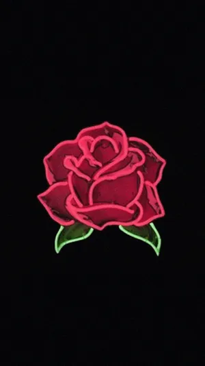Let Beauty Bloom With The Single Red Rose Aesthetic! Wallpaper