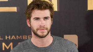 Liam Hemsworth In Brown Background Wallpaper
