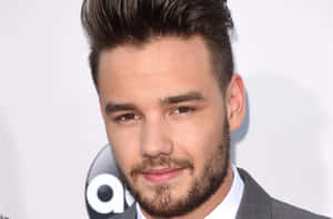 Liam Payne Strikes A Pose Wallpaper