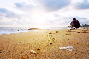 Liberia Ocean Sun Wallpaper