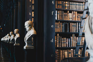Library And Statues Wallpaper