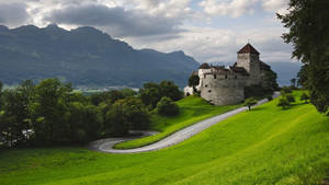 Liechtenstein Green Grass Wallpaper