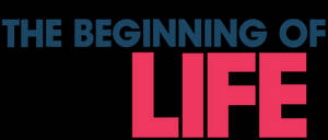 Life Beginning Wallpaper