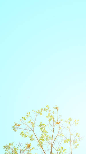 Light Blue Pastel Iphone Wallpaper