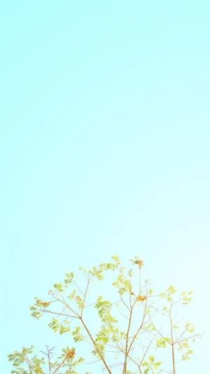 Light Blue Pastel Iphone Wallpaper