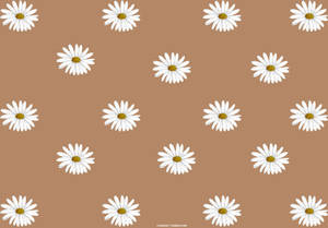 Light Brown Daisy Pattern Wallpaper