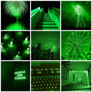Light Green Aesthetic Square Collage Wallpaper