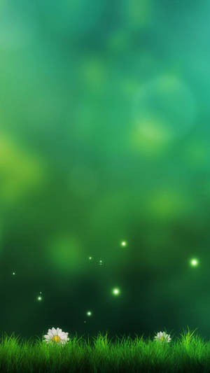 Light Green Field Phone Wallpaper