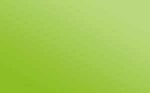 Light Green Gradient Wallpaper