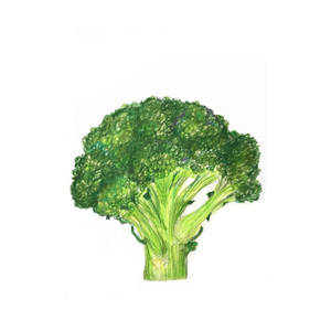 Light Green One Piece Broccoli Wallpaper