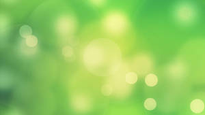 Light Green Plain Blurry Wallpaper Wallpaper