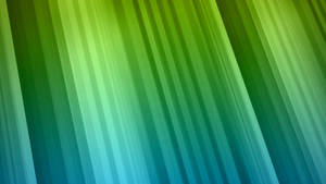Light Green Plain Colored Diagonal Lines Wallpaper