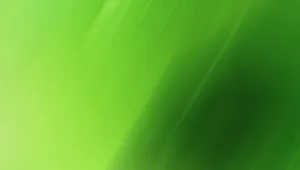 Light Green To Dark Wallpaper