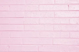 Light Pink Color Wall Wallpaper